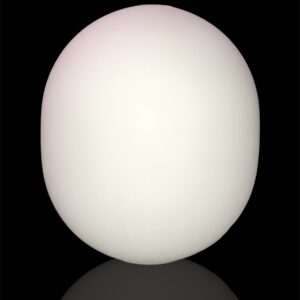 Egg 2025
