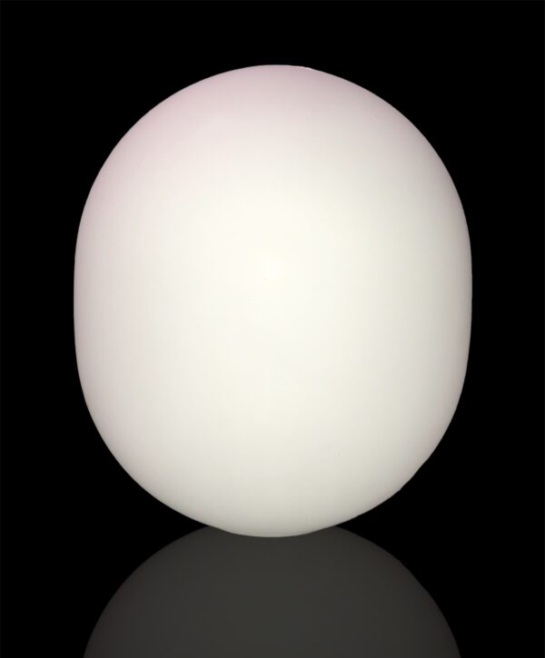 Egg 2025