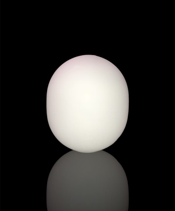 Egg 1012